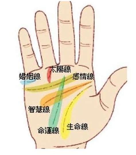 感情線 智慧線中間 十字紋|手掌雜紋看命運——十字紋